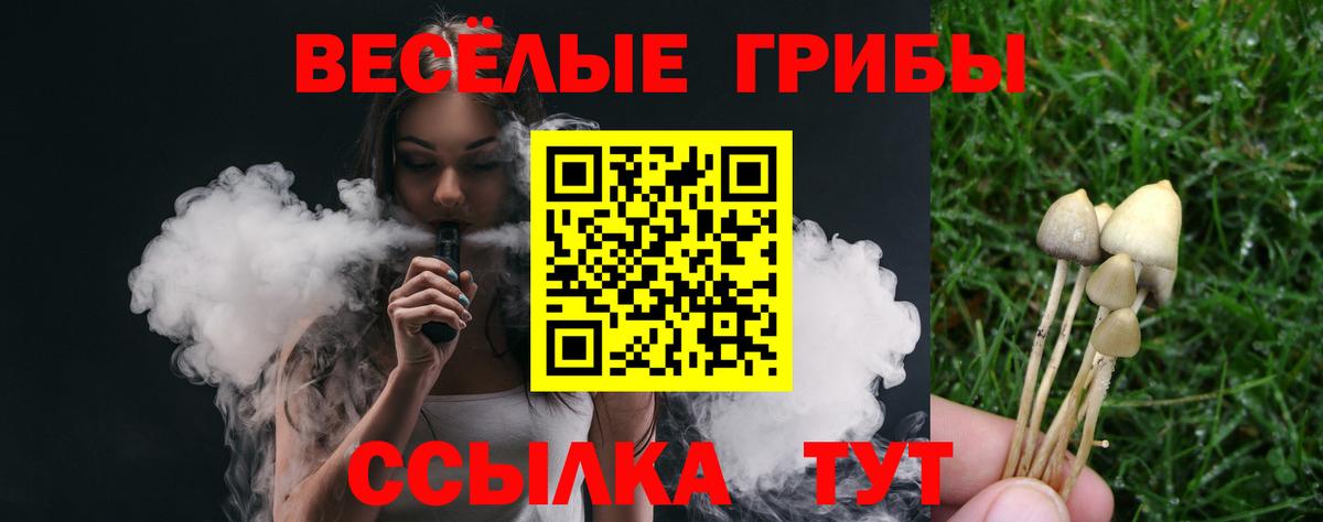 Псилоцибиновые грибы MAGIC MUSHROOMS  Вход с VPN  Псилоцибиновые грибы прущие грибы  Чайковский 